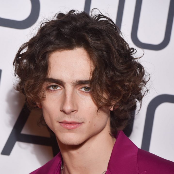 An Ode to Timothée Chalamet's Chiseled, Sharp, and Sexy Jawline ...