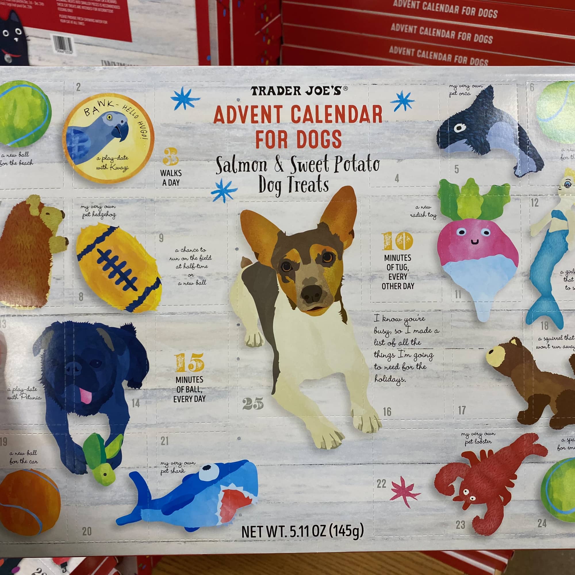 Trader Joe's Advent Calendars For Dogs Are Back, 'Cause Pups Deserve