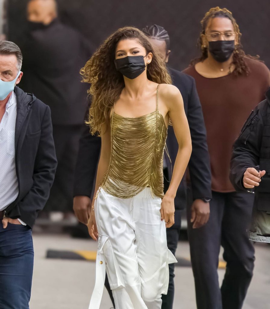 Sure, Zendaya's Slinky Chain Top Is Sexy, but We're More Enthralled by ...