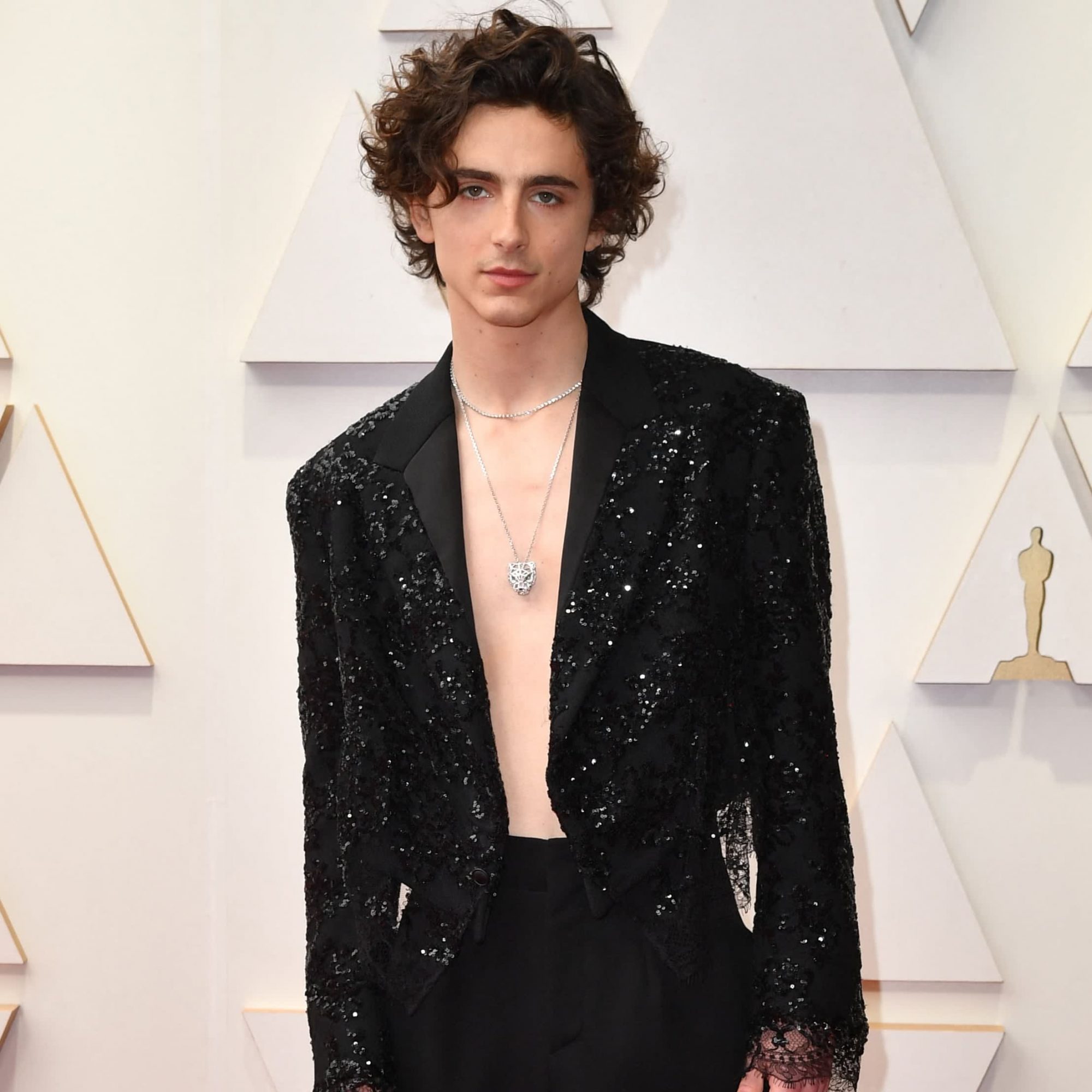 Timothée Chalamet Presents Us With Shirtless Tailoring at the Oscars ...