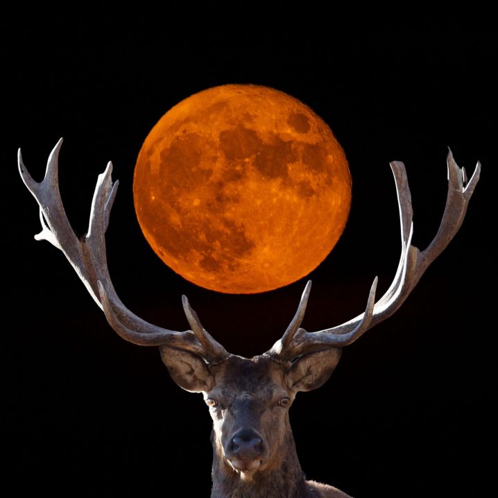 Where To See July’s Full Buck Moon Tonight (And What It Means For Your