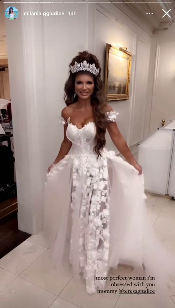 Teresa Giudice wedding hair