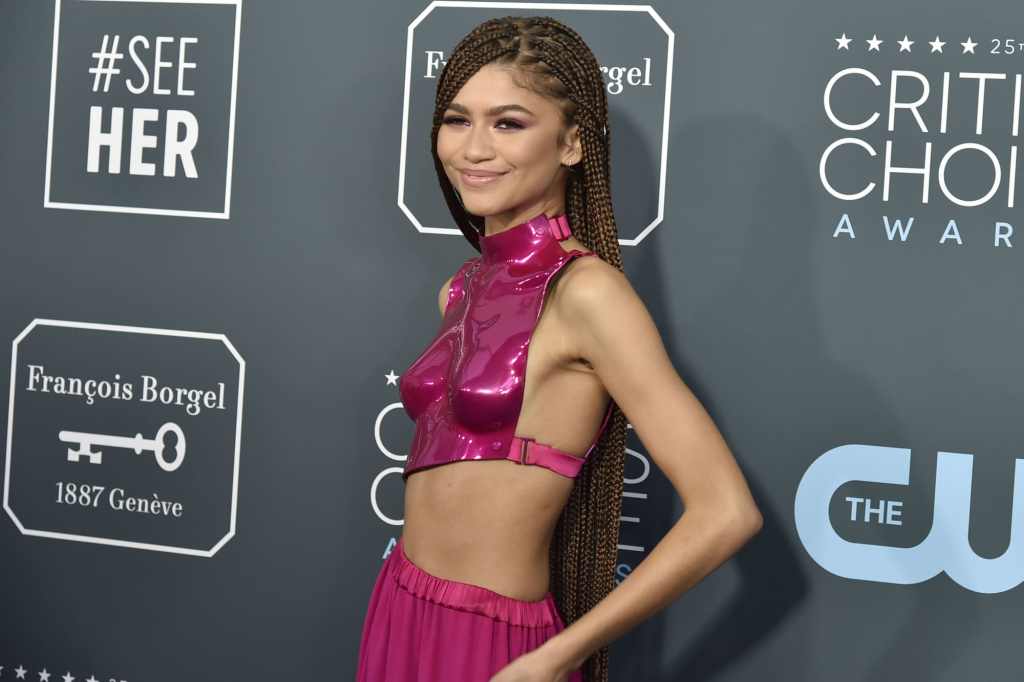 Zendaya's knotless braids