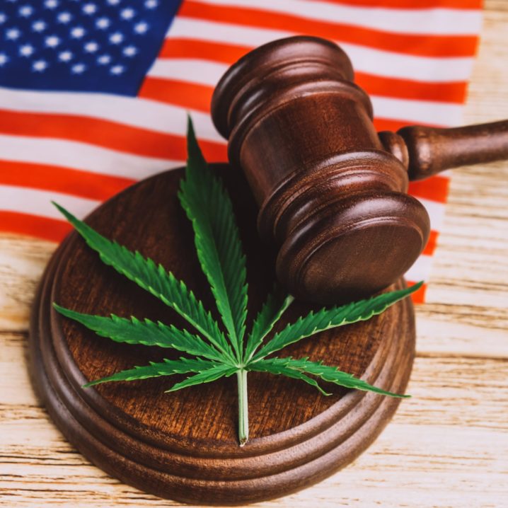 President Biden Announces A Sweeping Pardon Of Federal Marijuana ...