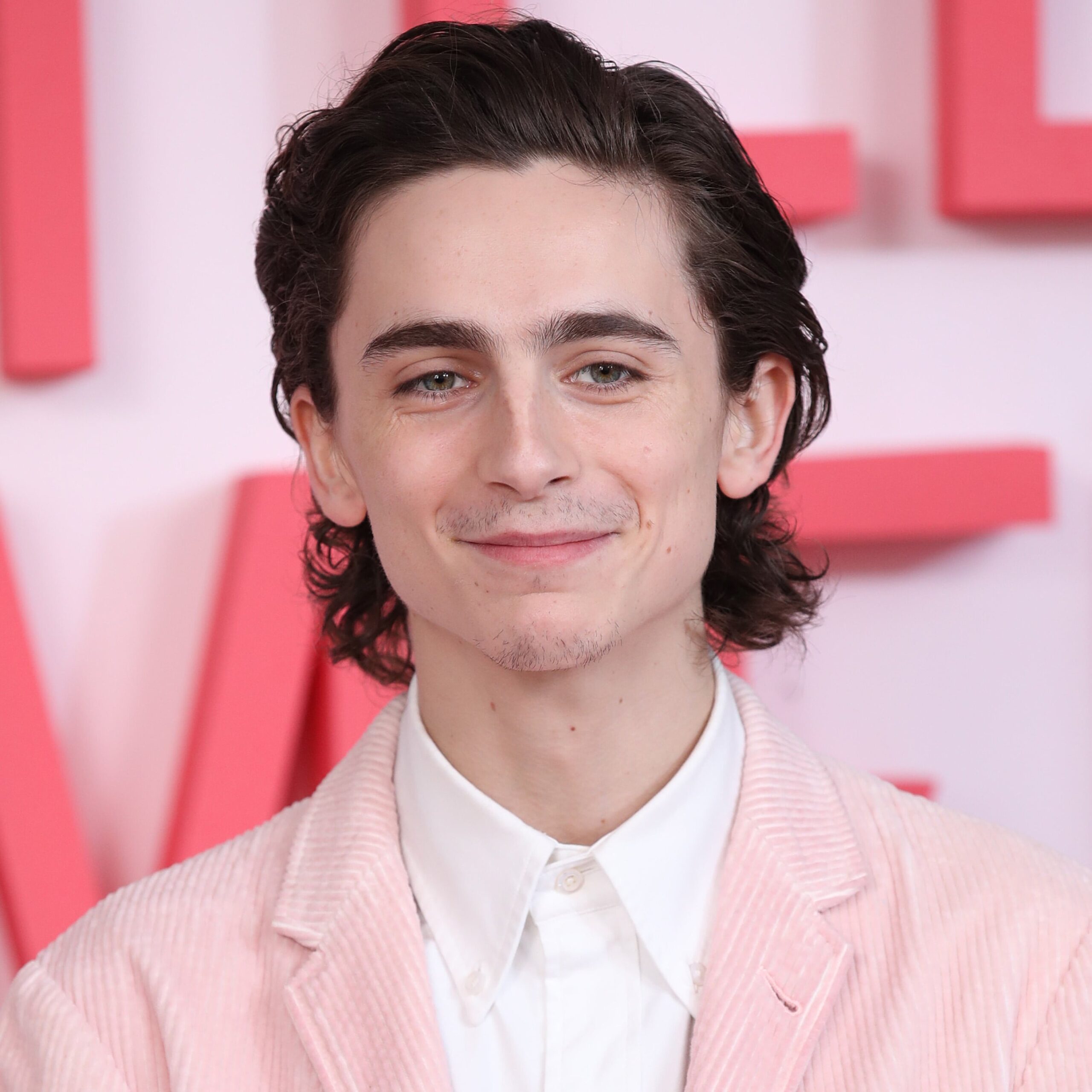 Timothée Chalamet Doing His Own Singing In Bob Dylan Biopic, Says Director  James Mangold