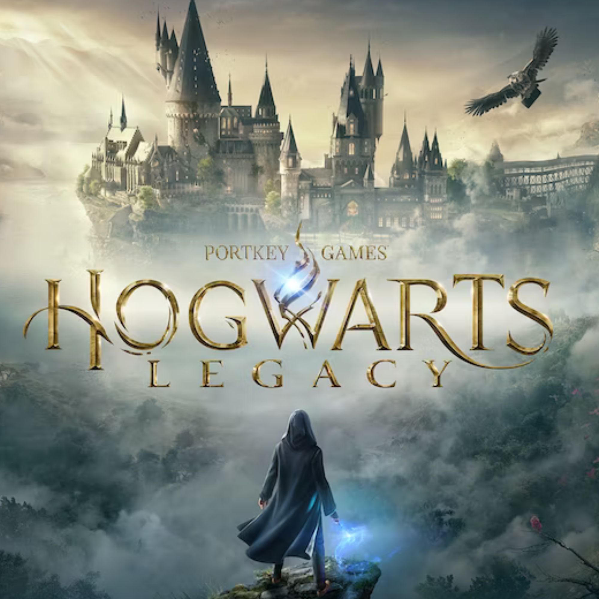 Hogwarts legacy ps5 предзаказ фото 62