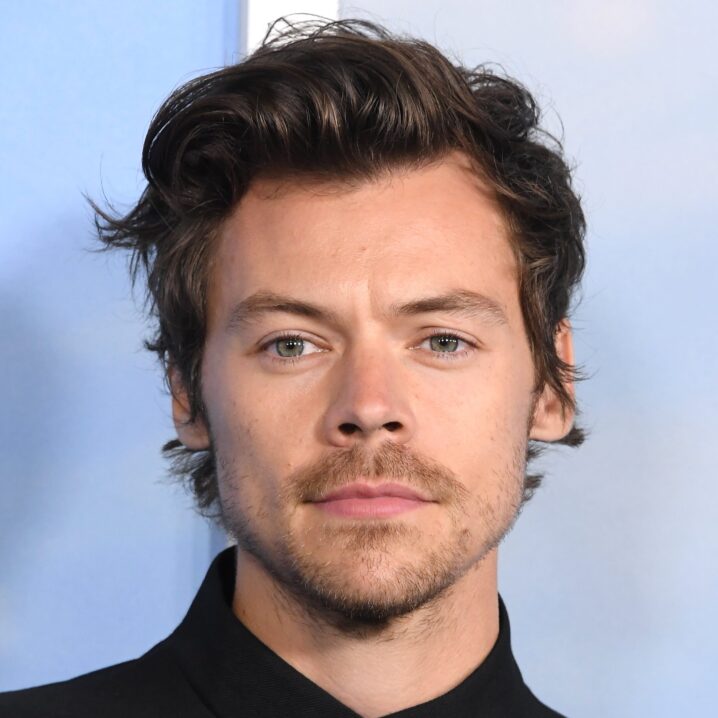 Not Harry Styles Without His Beloved Hair - POPSUGAR Australia